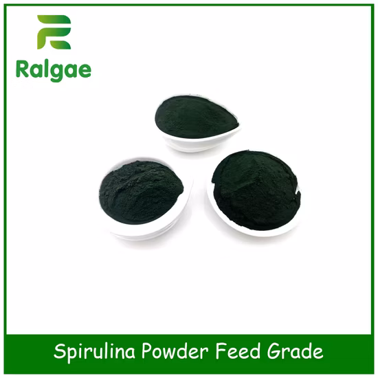 Microalgas Spirulina CAS 724424 da categoria da alimentação do suplemento à nutrição animal