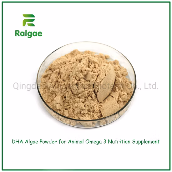Nature Microalgae Schizochytrium DHA algas em pó para animais de estimação aditivo de refeição CAS6217