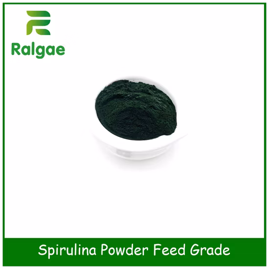 Algas naturais Spirulina Feed Grade para Livstock CAS 724424