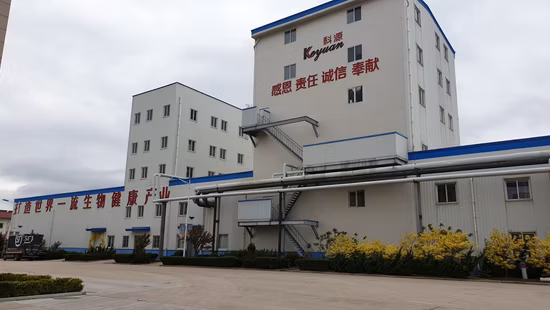 Suplemento Alimentar Ómega 3 Microalgas Marinhas DHA Óleo de Algas para Crianças