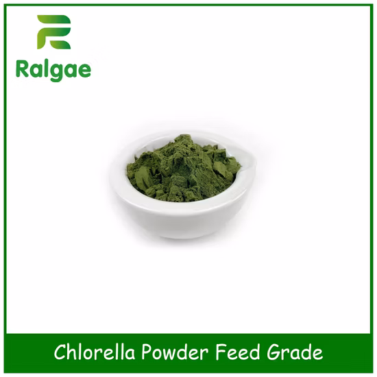 Aditivo da nutrição animal das microalgas do pó do Chlorella da categoria da alimentação