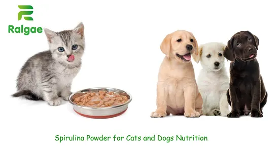 Spirulina de algas em pó para refeições aditivas para animais de estimação CAS 724424