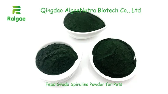 Categoria natural da alimentação do pó de Spirulina do verde das microalgas para suplementos à proteína do cavalo